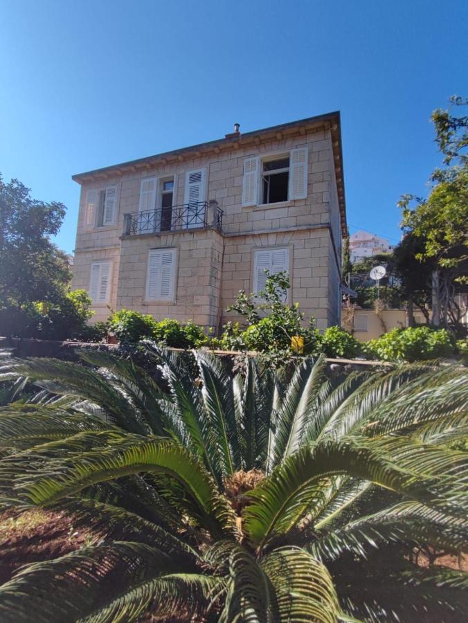 דוברובניק Villa Arancia מראה חיצוני תמונה